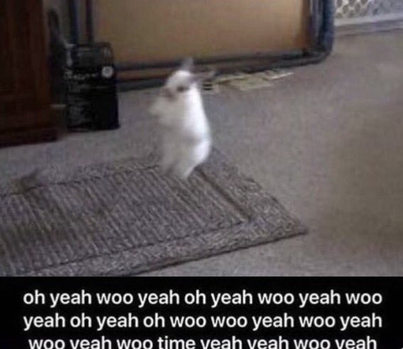 aengdu 🍒 (@aengdu_xiv) on Twitter photo 