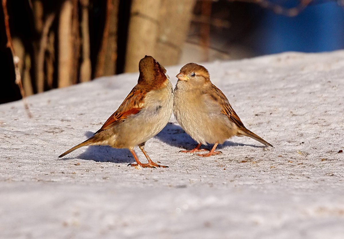 gdy o czymś zapomnisz jej wzrok ci to przypomni