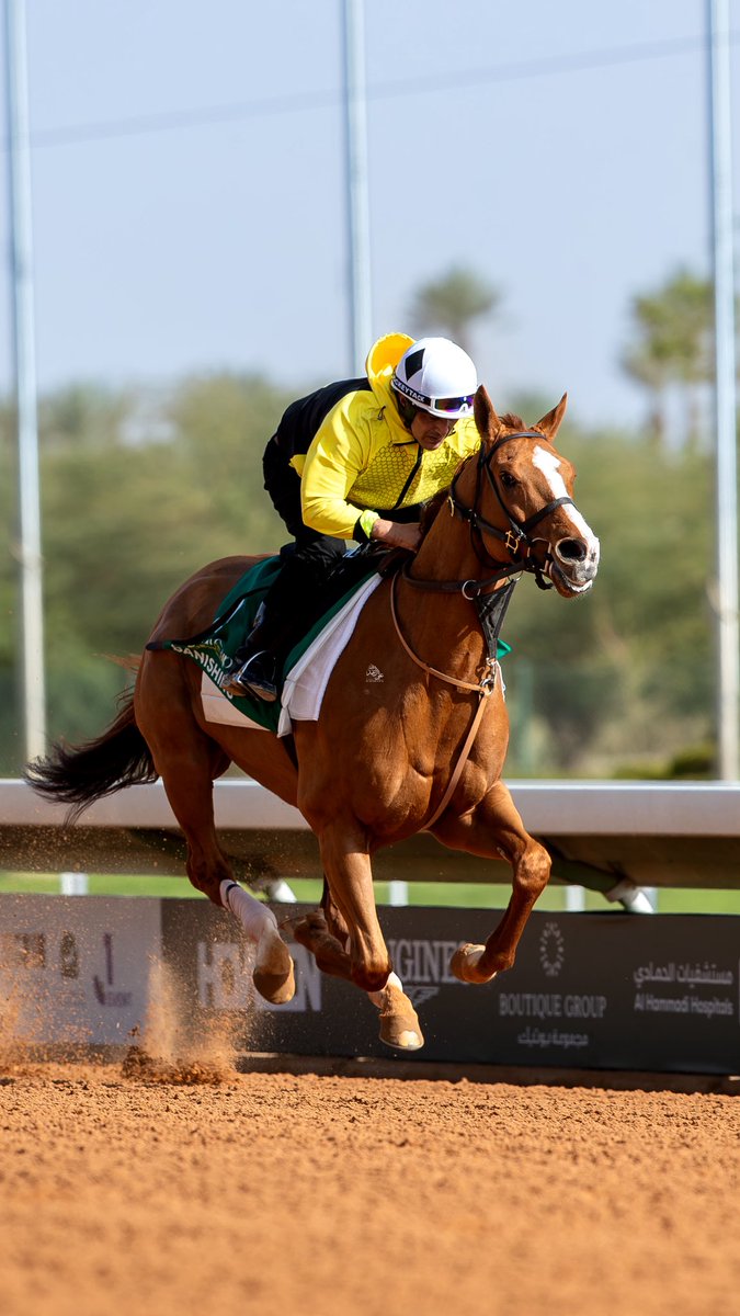 BANISHING
مشارك في الشوط الرئيسي
المنتقل حديثا لرجل الاعمال / شرف الحريري
سيقوده العالمي / عادل الفريدي