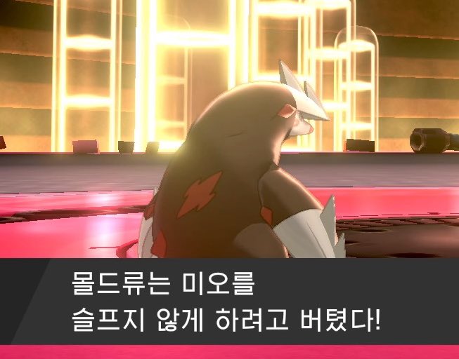 포켓몬하면서제일감동적인순간
내포켓몬이나를슬프지않게하려고
체력1남은상태로버텼을때...
아울음나와몰드류야사랑해........