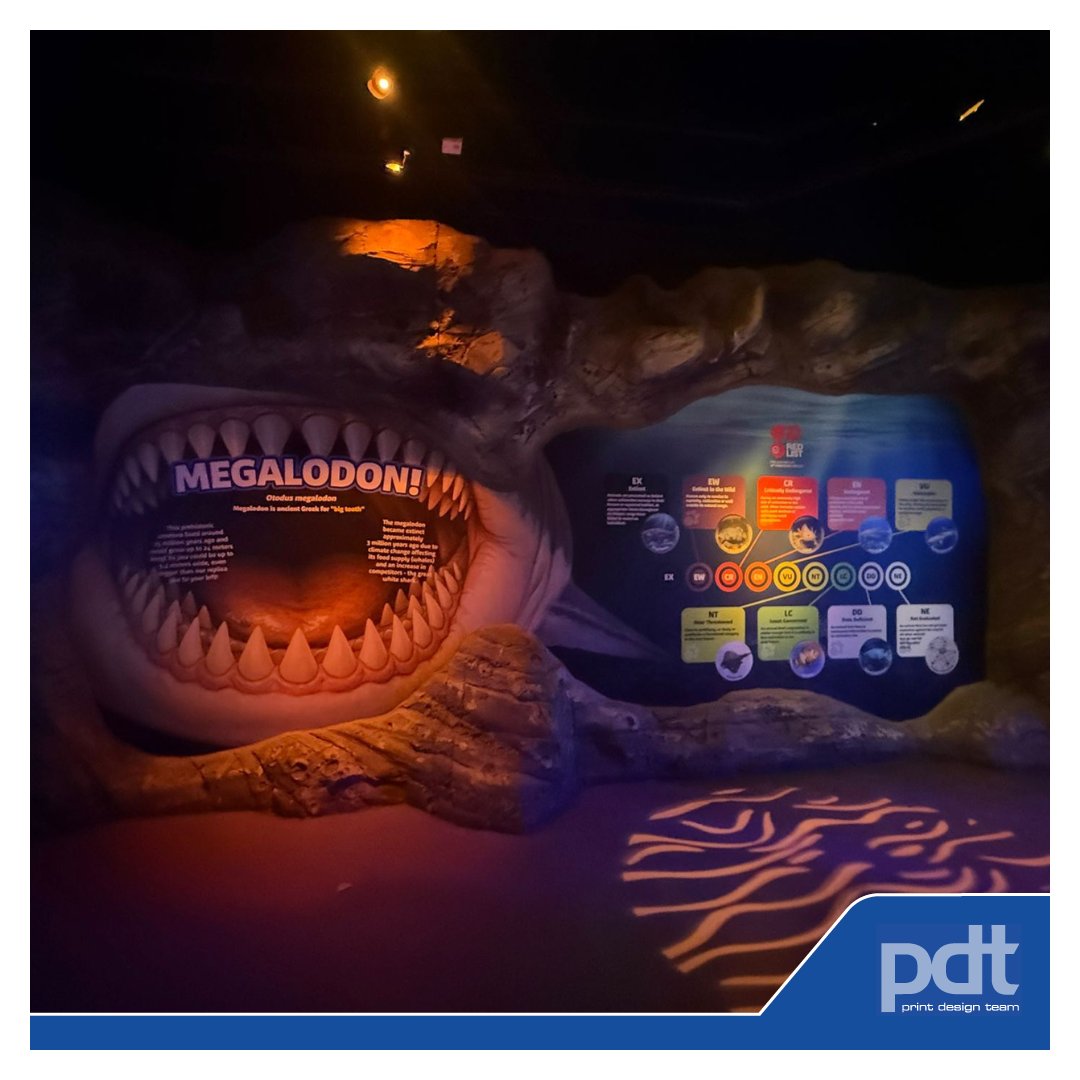 PrintDesignTeam's tweet image. Paul has pulled off another frighteningly good wall re-vinyl over at Sea Life Manchester

Thanks to Matthew as always for the work - The Megalodon looks absolutely incredible!🦈

#print #design #signage #promotions #megalodon #revinyl #sharks