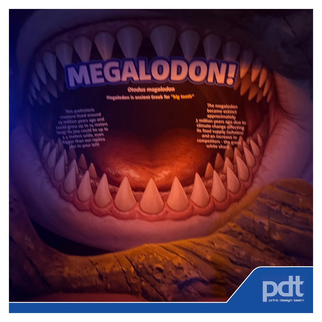 PrintDesignTeam's tweet image. Paul has pulled off another frighteningly good wall re-vinyl over at Sea Life Manchester

Thanks to Matthew as always for the work - The Megalodon looks absolutely incredible!🦈

#print #design #signage #promotions #megalodon #revinyl #sharks