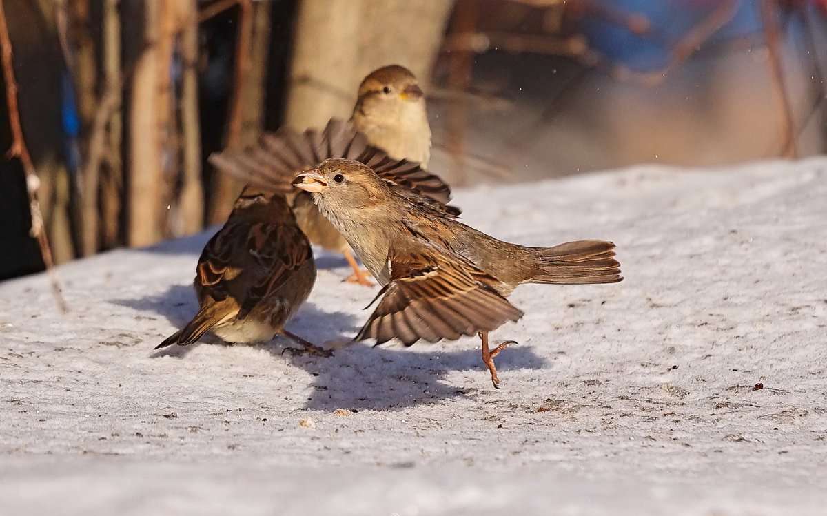 Gerwazy&Filciu (@gerwazy843719) on Twitter photo 