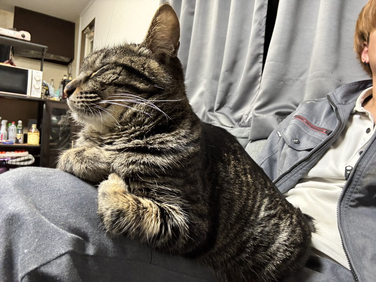 いっくん (@itsu_zx10r) / Posts / X