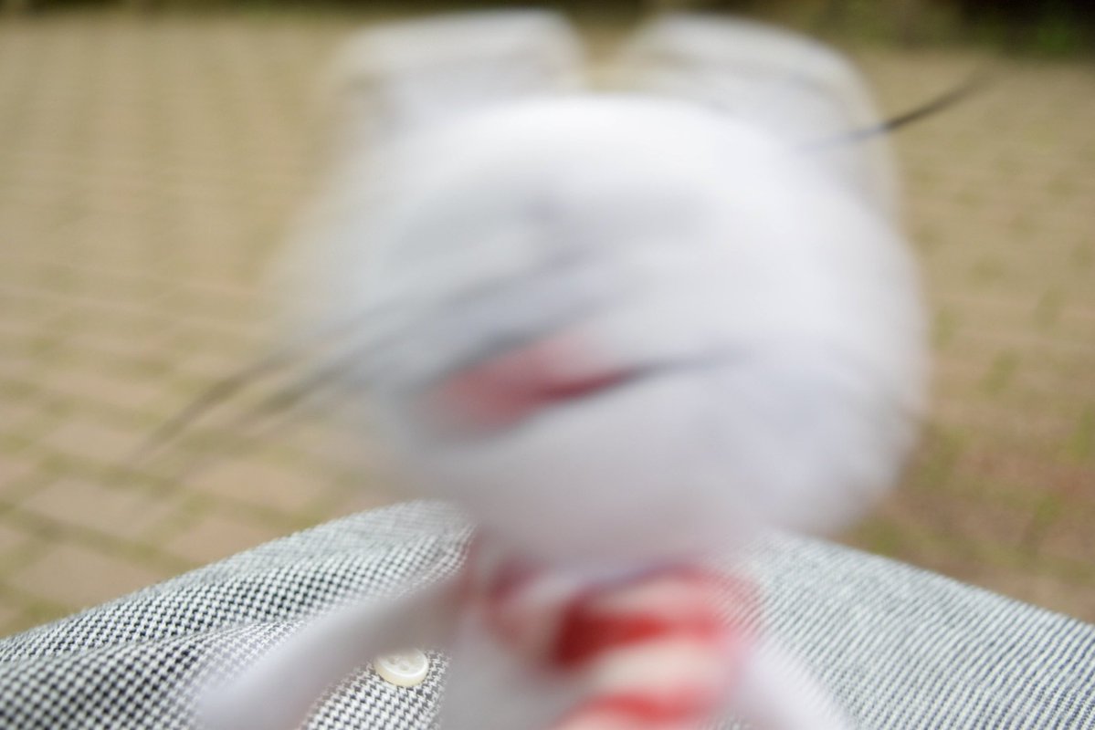 #TLをニコルでいっぱいにしよう