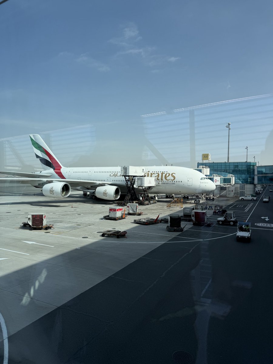 Nico (he/him) tweet media