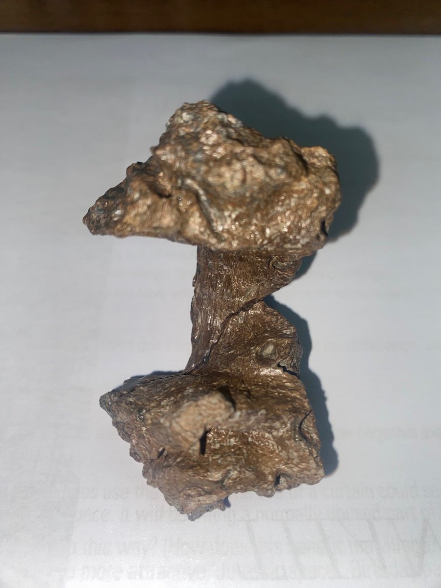 Paul de la Salle tweet media