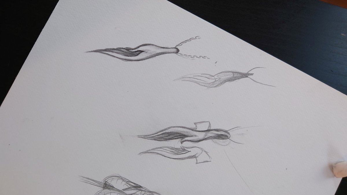 dualflow tweet media