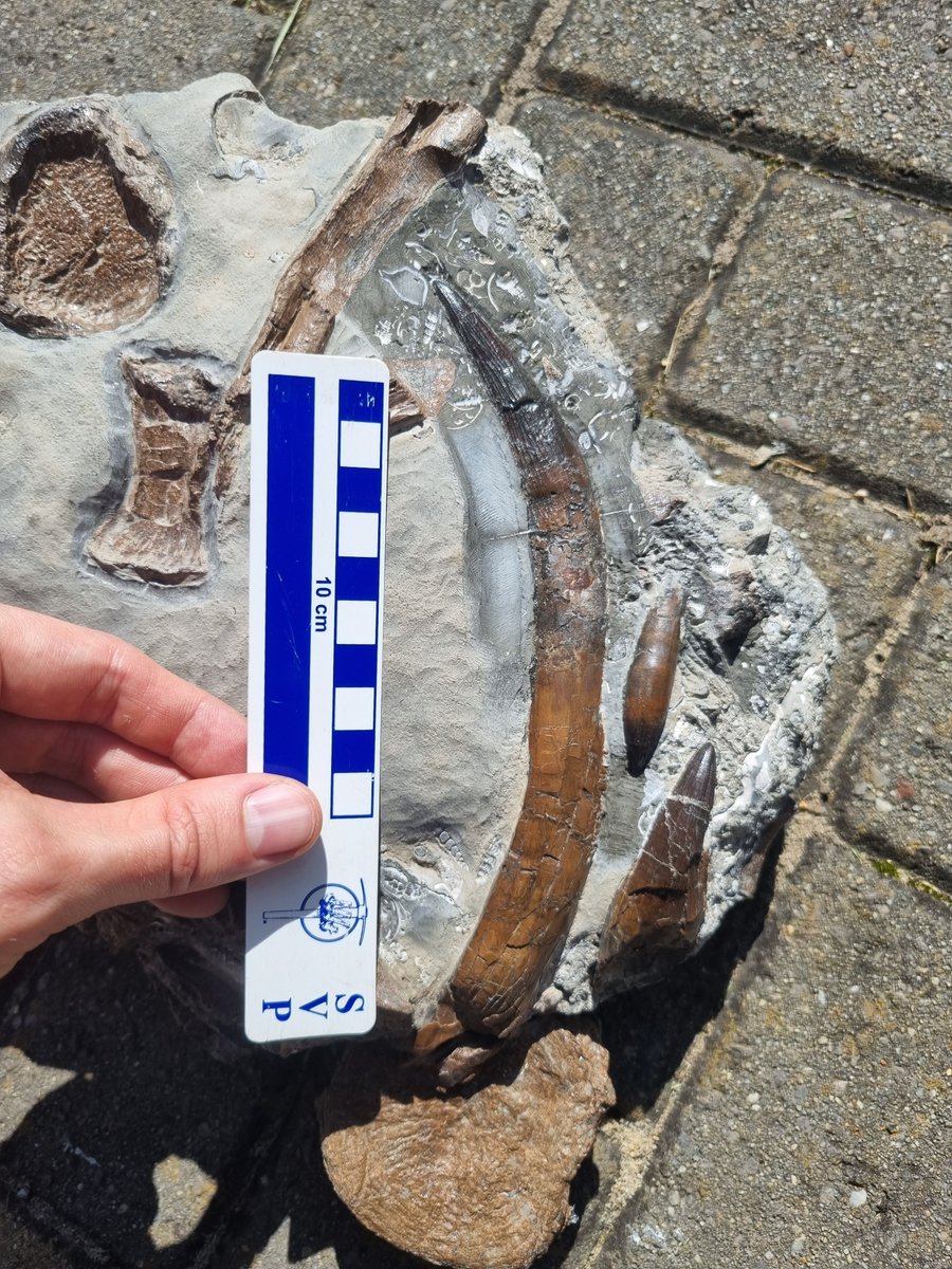 Paul de la Salle tweet media