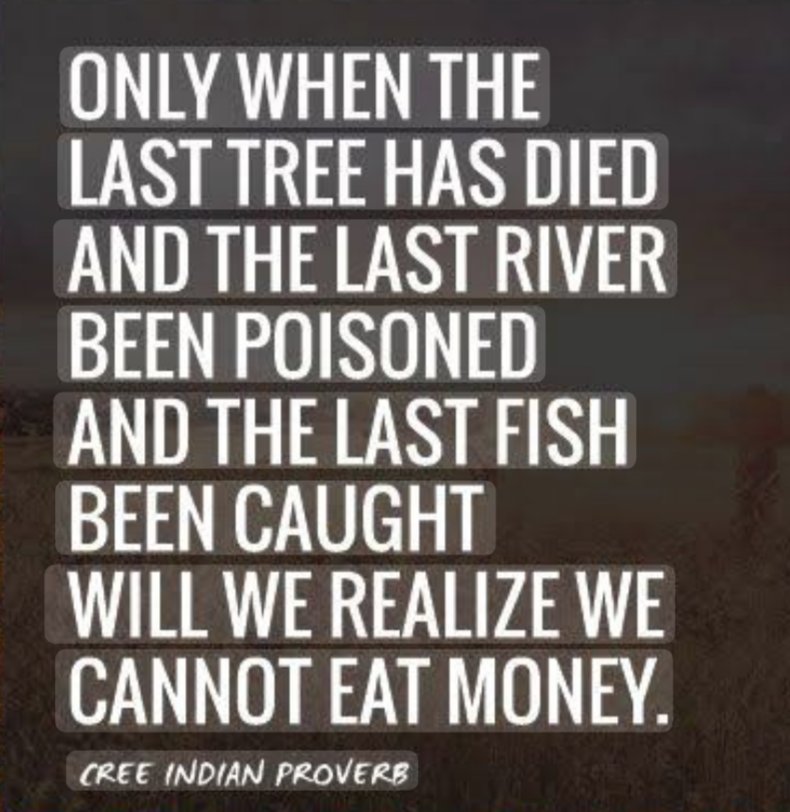 Lucky Ivor tweet media