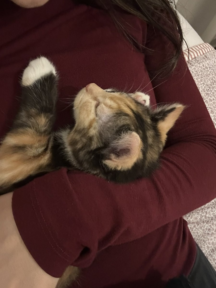 el’🇹🇷 tweet media