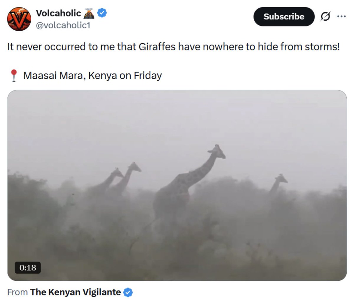 Mr. Beefman 🥩 tweet media