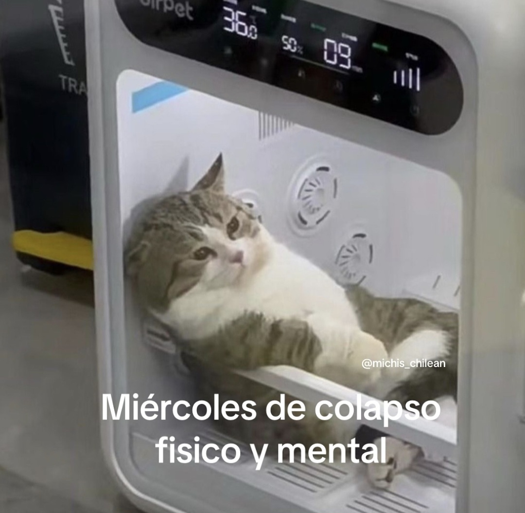 En_jupiter_'s tweet photo. https://t.co/OIxila7J9C