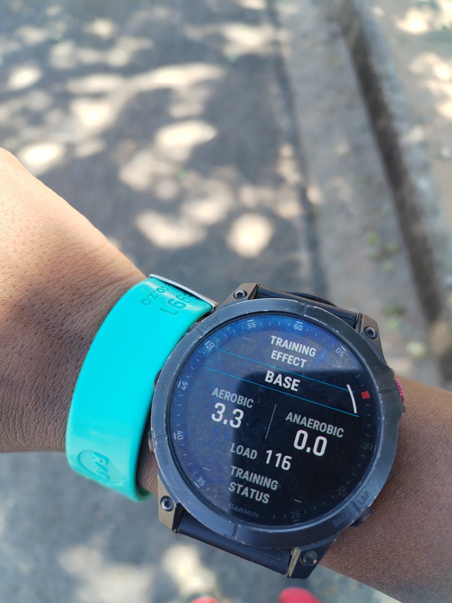 ocrgirl_emjeezy's tweet photo. When u have a SwimRun.
Akere we found our running shoes. Now we have to use them 🤣. My coach is still loading viyolence there on Training Peaks
#IPaintedMyRun
#XtriTraining
#SheSwims
#BuiltNotBorrowed https://t.co/25sTXYTGYk