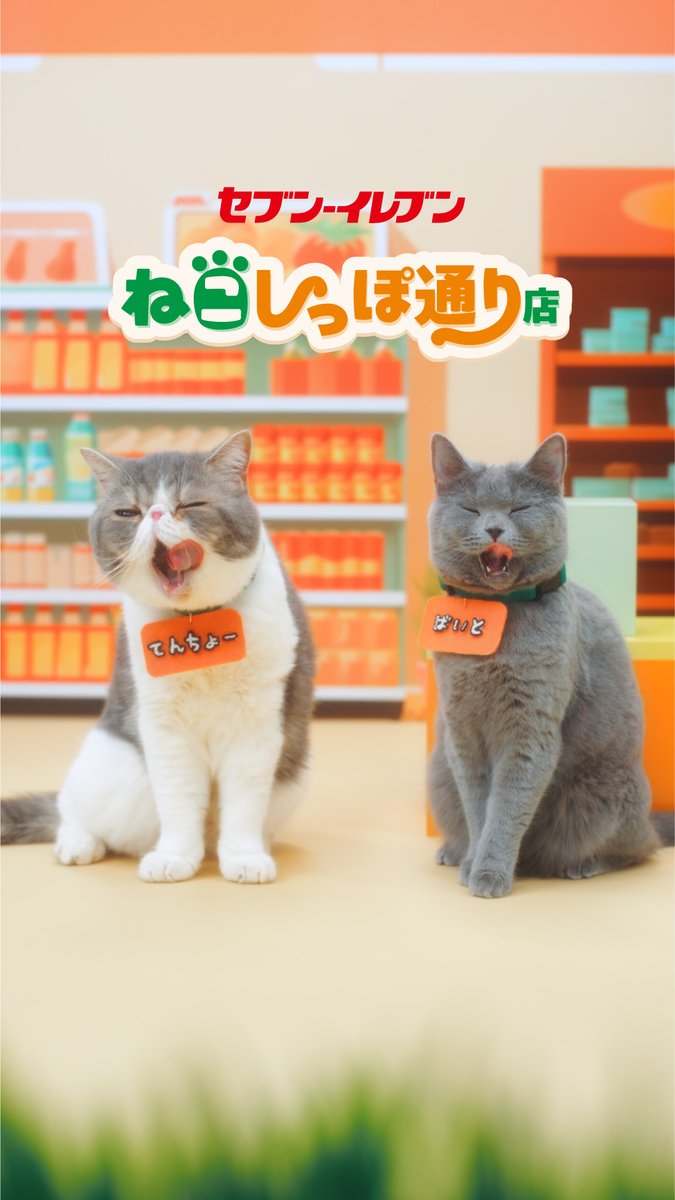 ╭━━━━━━━━━━━╮ ねこしっぽ通り店🐾 猫の日限定の 商品を