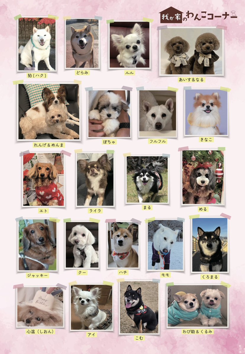 gekkan_wanko's tweet photo. 【当選者発表】
こちらの写真は月刊わんこvol.27（2/15発売）我が家のわんこコーナーに掲載されています👏🐶㊗️※掲載されていたらリポストをお願いします！

Amazon→ https://t.co/jFaLhZRtfo

※当選発表は画像をご確認ください📖
@shiba_hakupapa
@renmen1029
@lU4wglq4h22CrNO
@xYWsDRmcZE9m1g7
@karincho81
@euoni1110
@jack_jack_jac9
@BVoqKknyVol1WuW
@pipi_nov2025
@nuts0423
@momoshepsky_JX
@arano8on
@owarakito
@1chanloveclub
@hachinoie0820
@ayato2
@gon_0301
@d5Vm663bHB979nv
@Aisukechan1
@pooh_momo0418