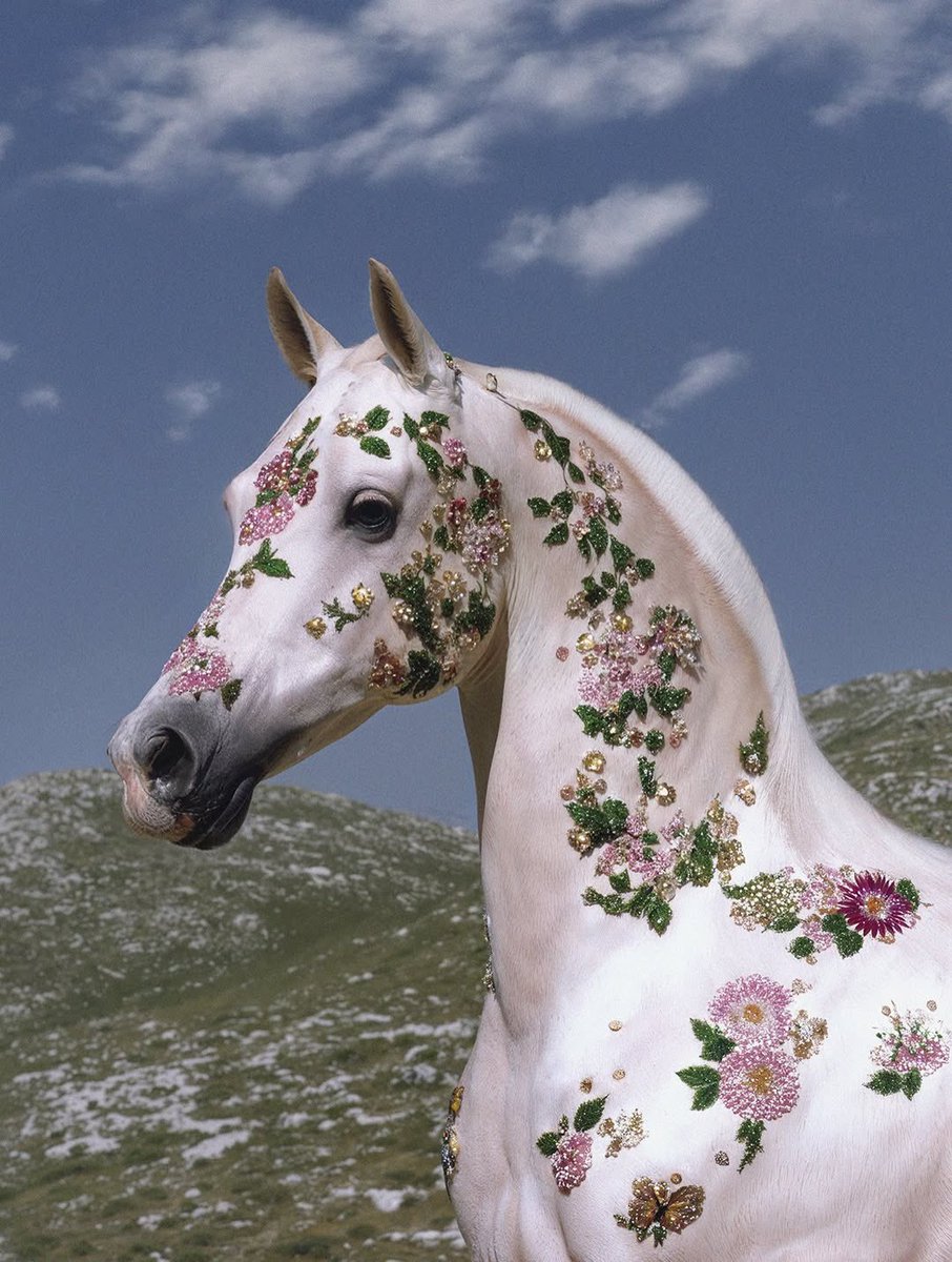 بحر 🌊 (@butterflless) on Twitter photo 