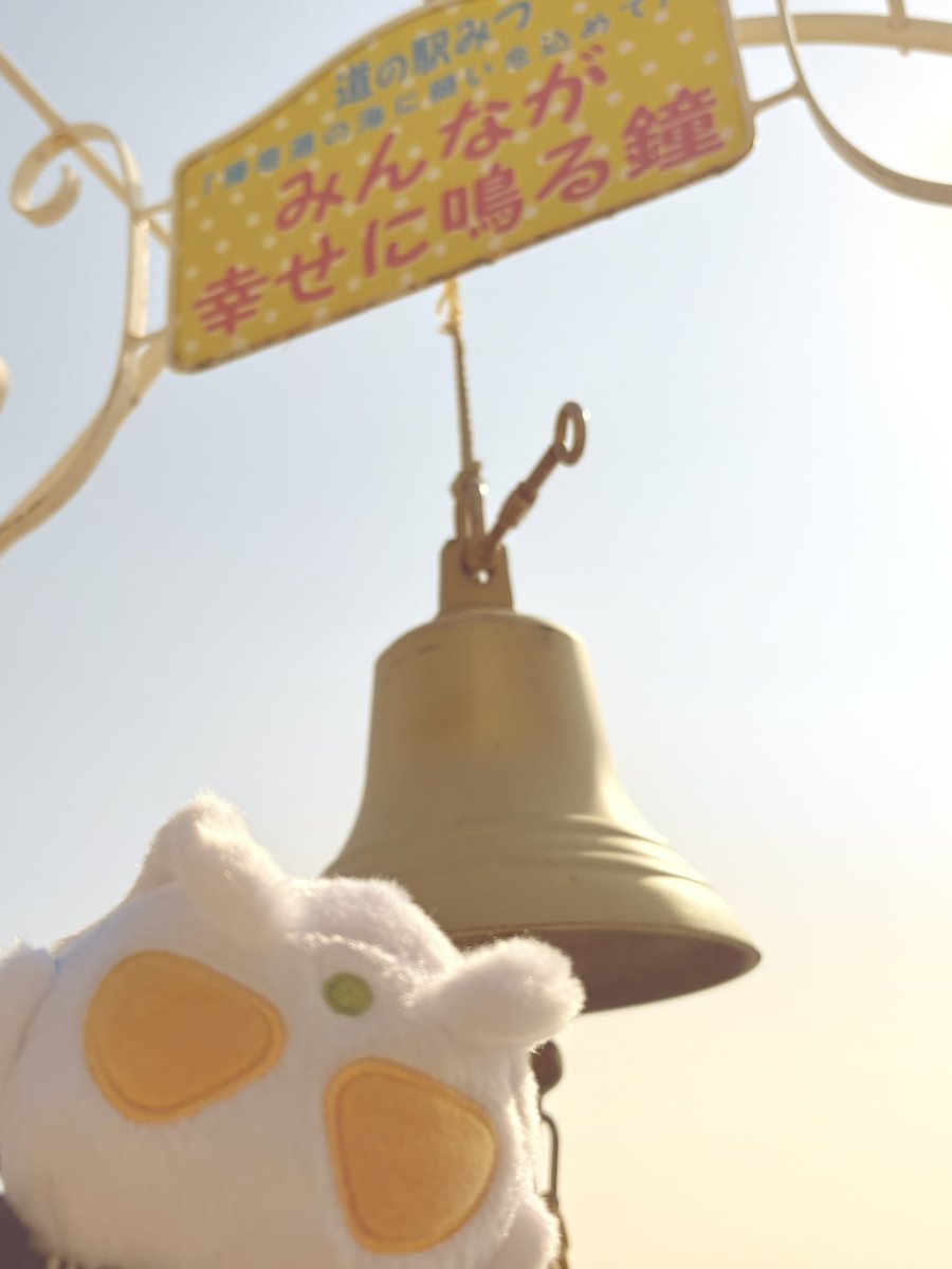 みんなの「ふわとのお出かけ写真」が見たい！！！