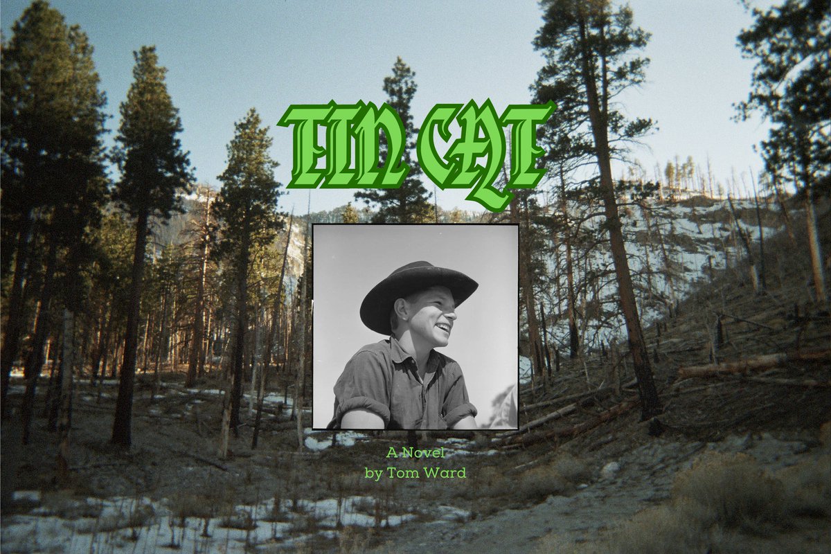 Tom Ward tweet media