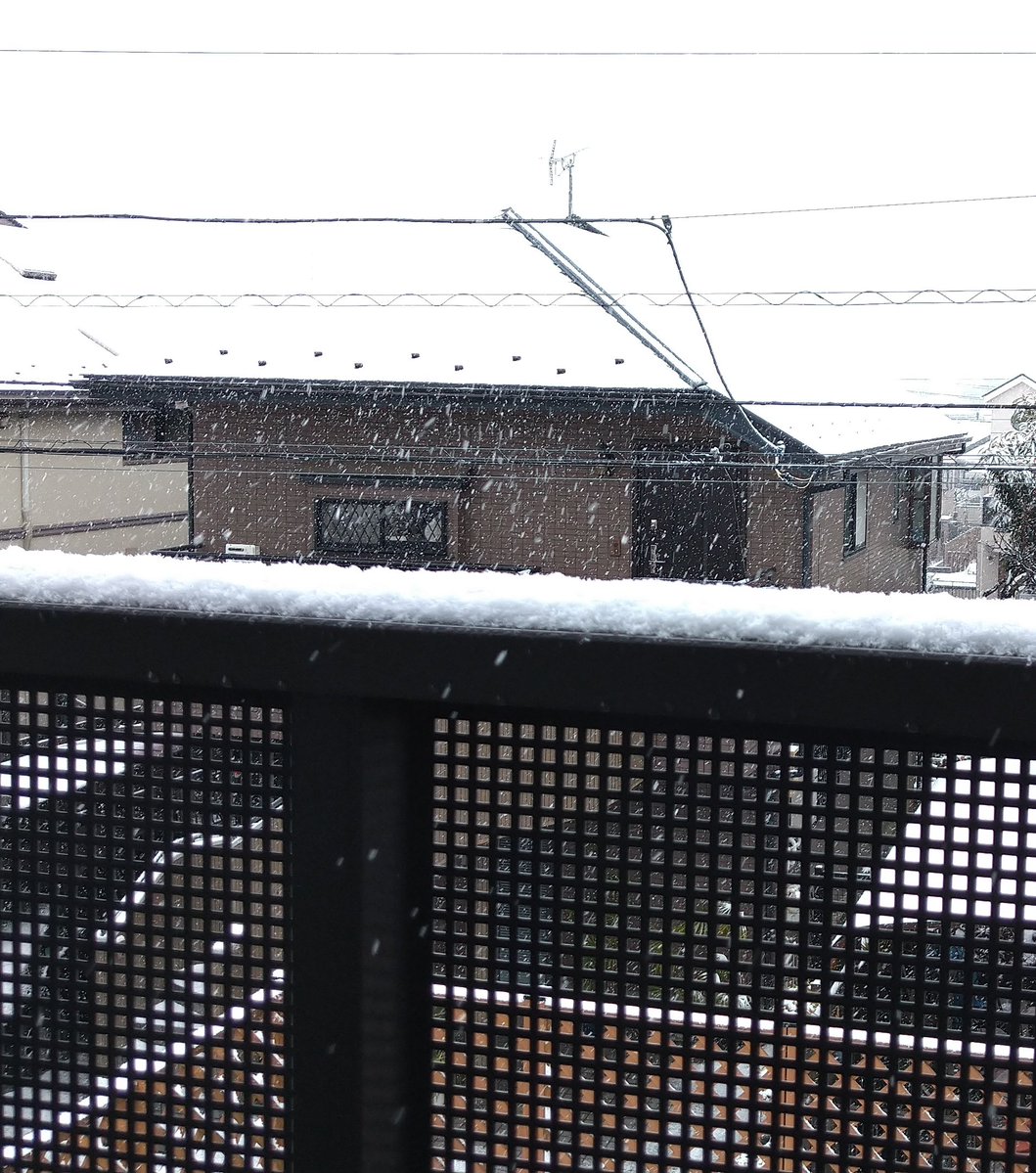 DARKSIDE-METAL@BABYMETAL🦊'26/1/10-11 : LEGEND-MF (@unknown_xyz