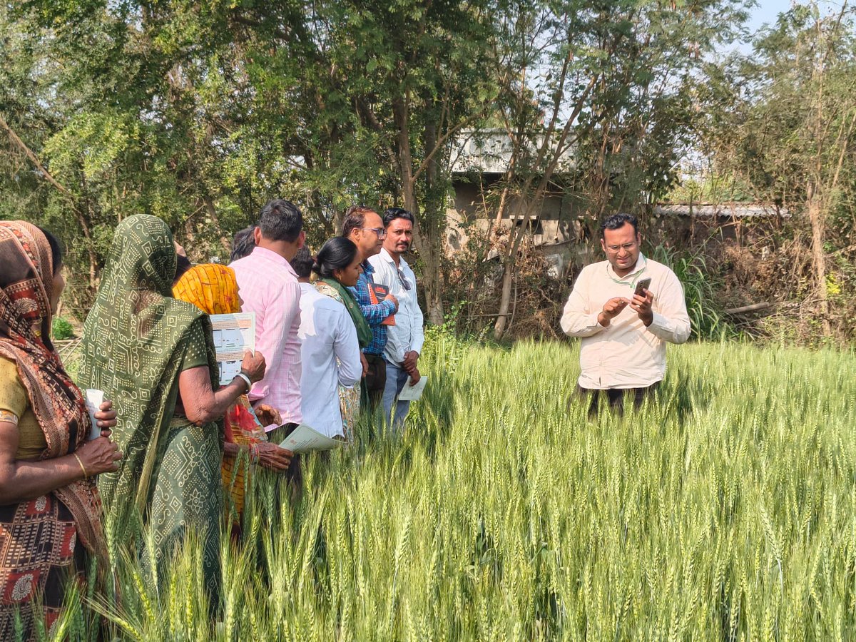 આજ રોજ નડિયાદ તાલુકાના આલજડા ખાતે NFSM ન્યુટ્રીસિરિયલ અંતર્ગત ક્રોપિંગ સિસ્ટમ બેઇજ તાલીમનું આયોજન કરવામાં આવ્યું.<a href="/jitu_vaghani/">Jitu Vaghani</a> <a href="/GujAgriDept/">Gujarat Agriculture, Farmer Welfare & Co-op. Dept.</a> <a href="/DDO_Kheda/">DDO KHEDA</a> <a href="/DAOKheda/">DAO KHEDA Nadiad</a> <a href="/infokhedagog/">Info Kheda GoG</a> <a href="/Guj_Gramsevak/">Gujarat Rajy GramSevak Mahamandal ABD</a>