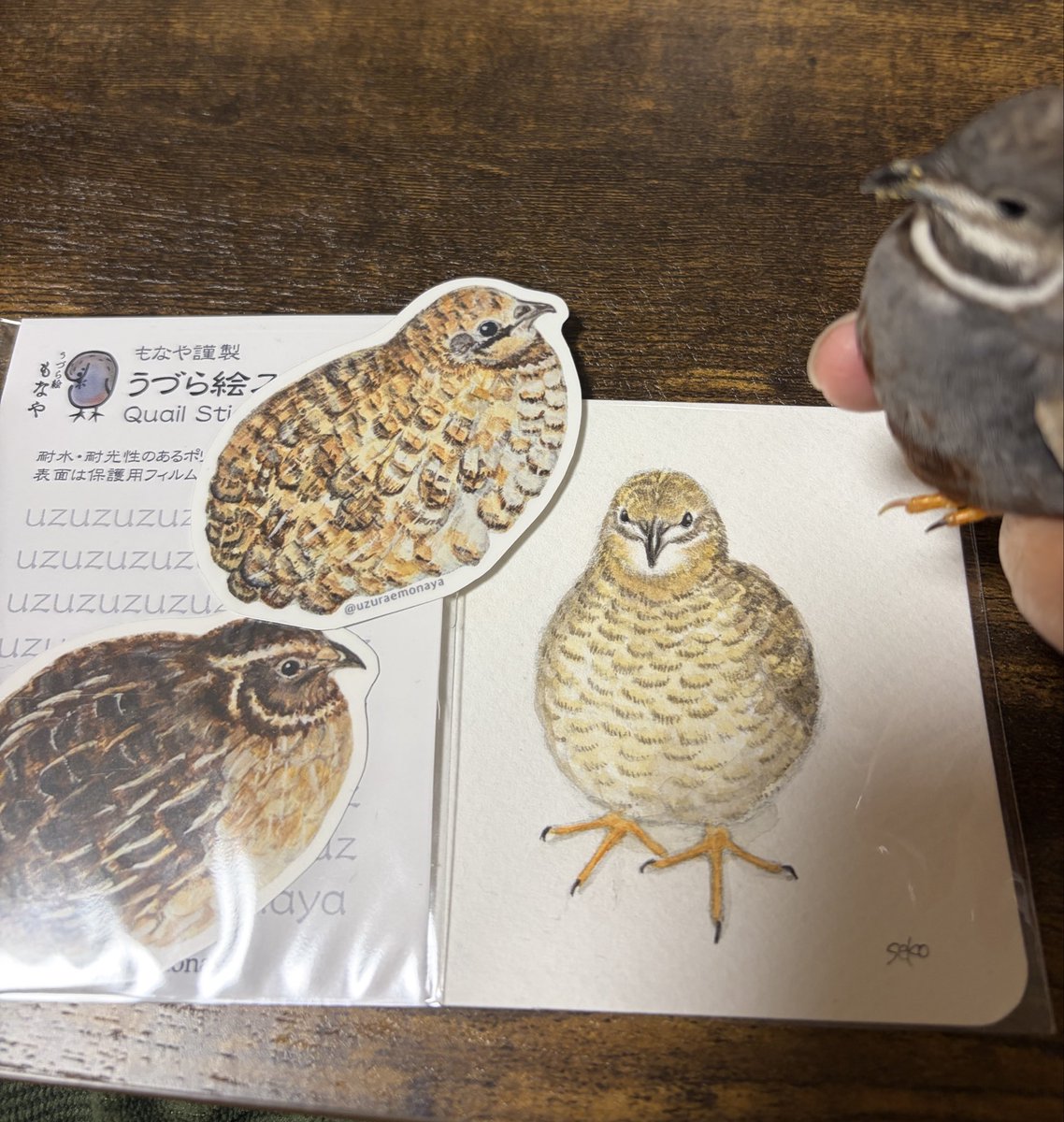 大事にしますっ🥹🥹