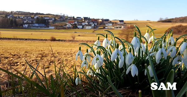 SAM Conveyancing tweet media