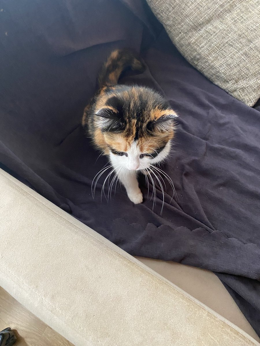 bu bıyık normal mi bu cüsse bi bayanda