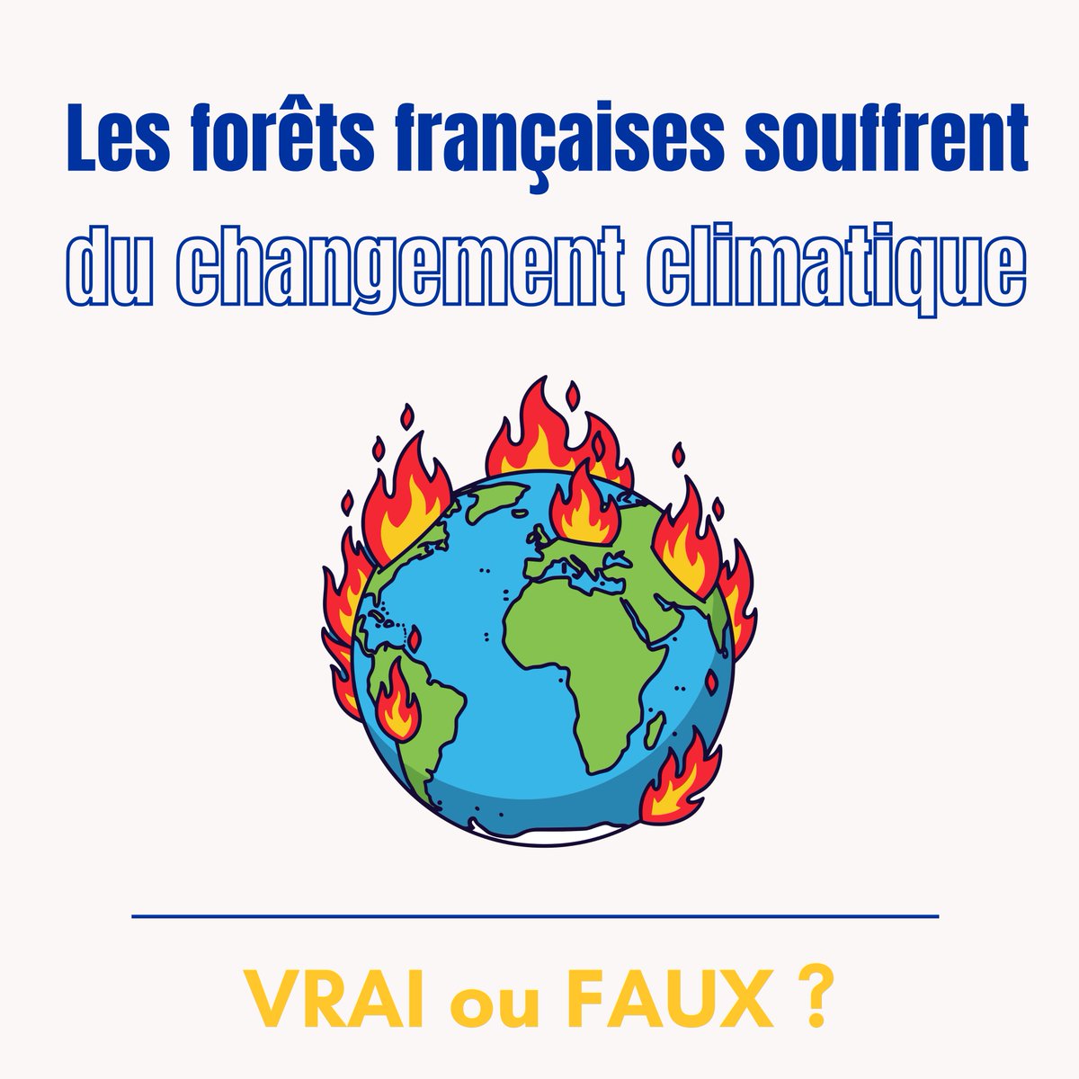 UCFF - Les Coopératives Forestières 🇫🇷 tweet media