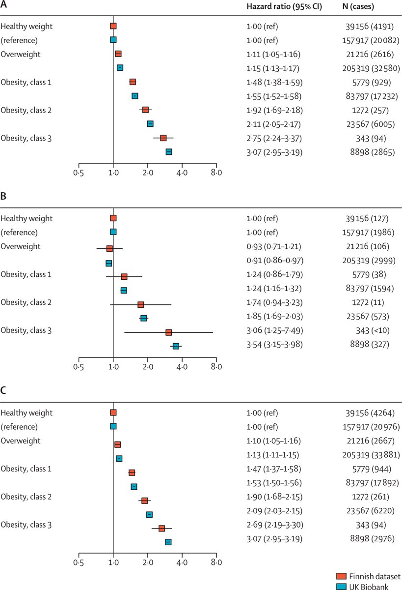 Dr Alexey Kulikov tweet media