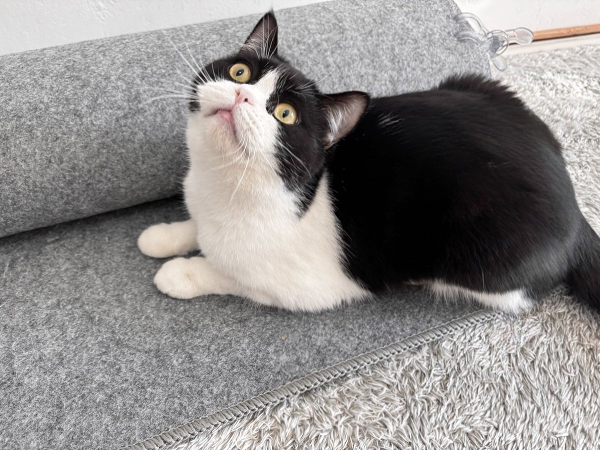 ねむちゃん (@nemuran616) on X