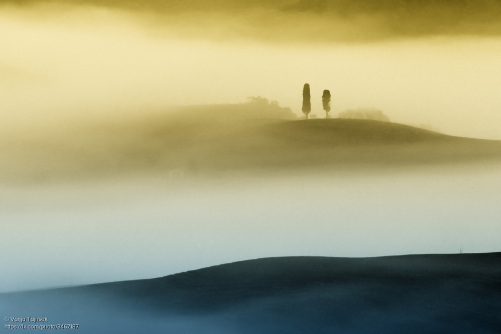 1x_com's tweet image. Fine minimal and dreamlike scenery titled 'Tuscan tree-couple' by Vanja Tajnsek.
1x.com/photo/3467187/… #landscape #Tuscany #trees #minimalism #fog #hills