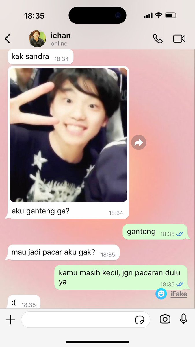 Cacha. dino au📌 tweet media