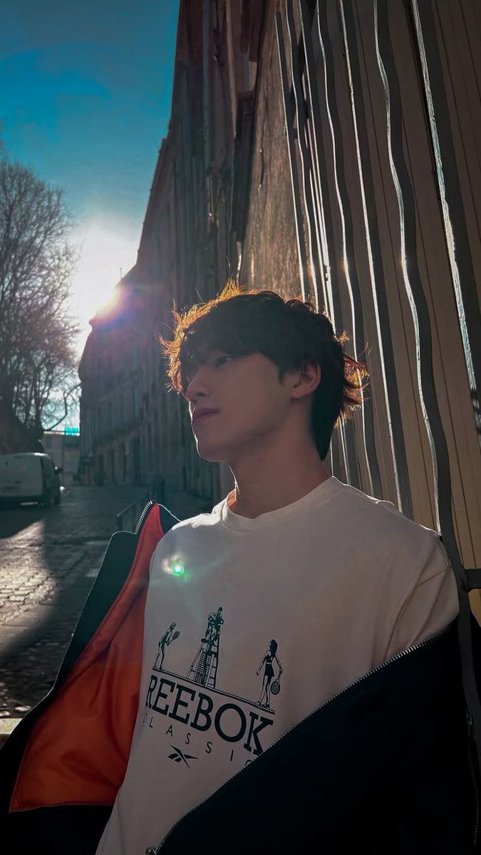 Cacha. dino au📌 tweet media