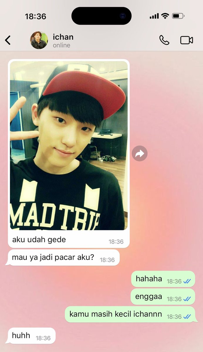 Cacha. dino au📌 tweet media