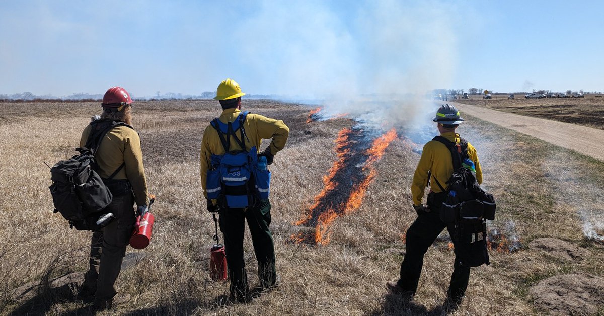 Dakota Prairie Grasslands tweet media