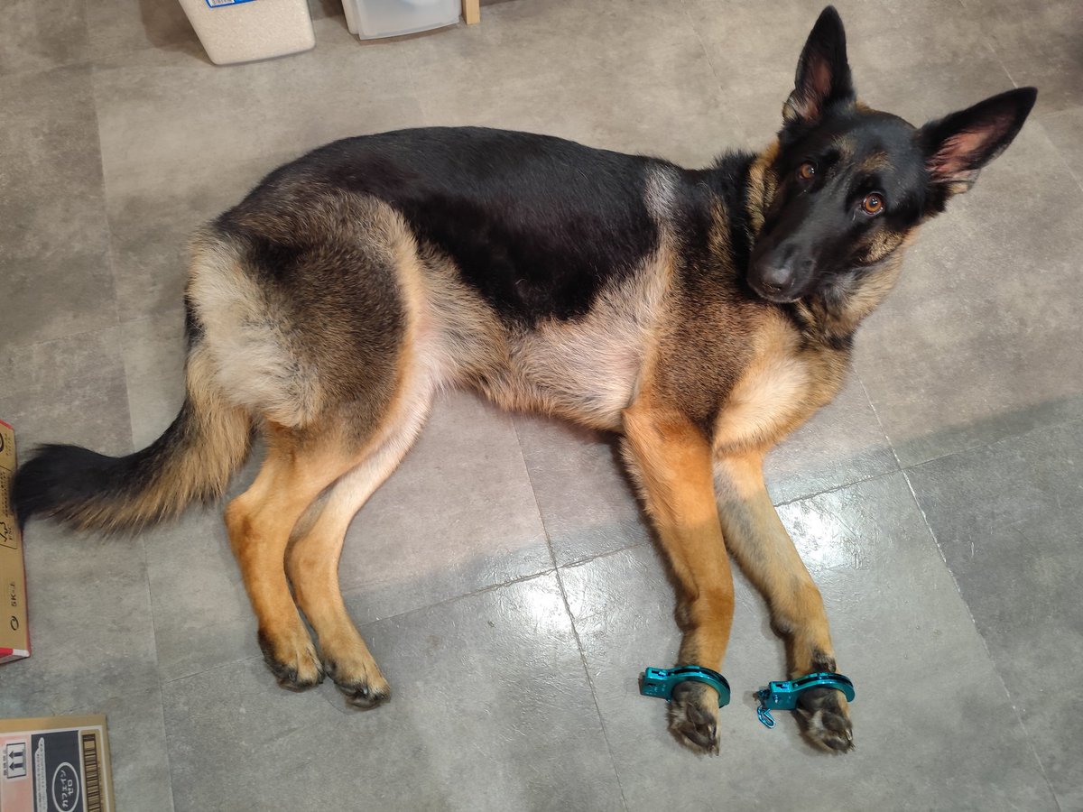 ママ！！お兄ちゃんが！！