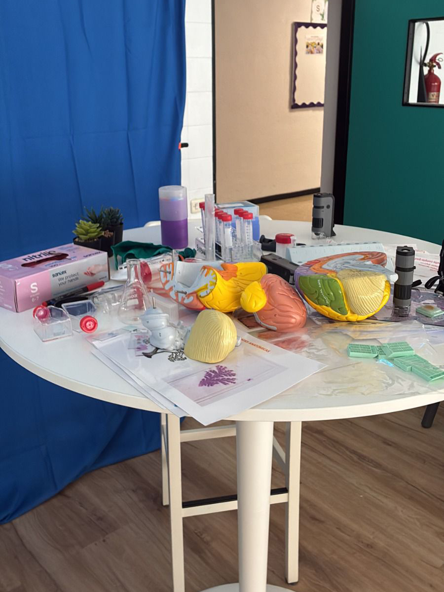 #O11 #ZientziakoEmakumearenetaNeskarenNazioartekoEguna
🧠👩‍🔬 Belaunaldi berrien artean bokazio zientifikoak sustatzen👉 Valle CocaNavarrabiomedeko Biobankuko teknikaria Atarrabiako La Presentación FESD ikastetxean izan zen ikasleei gaixotasun neurodegeneratiboen ikerketak azaltzen