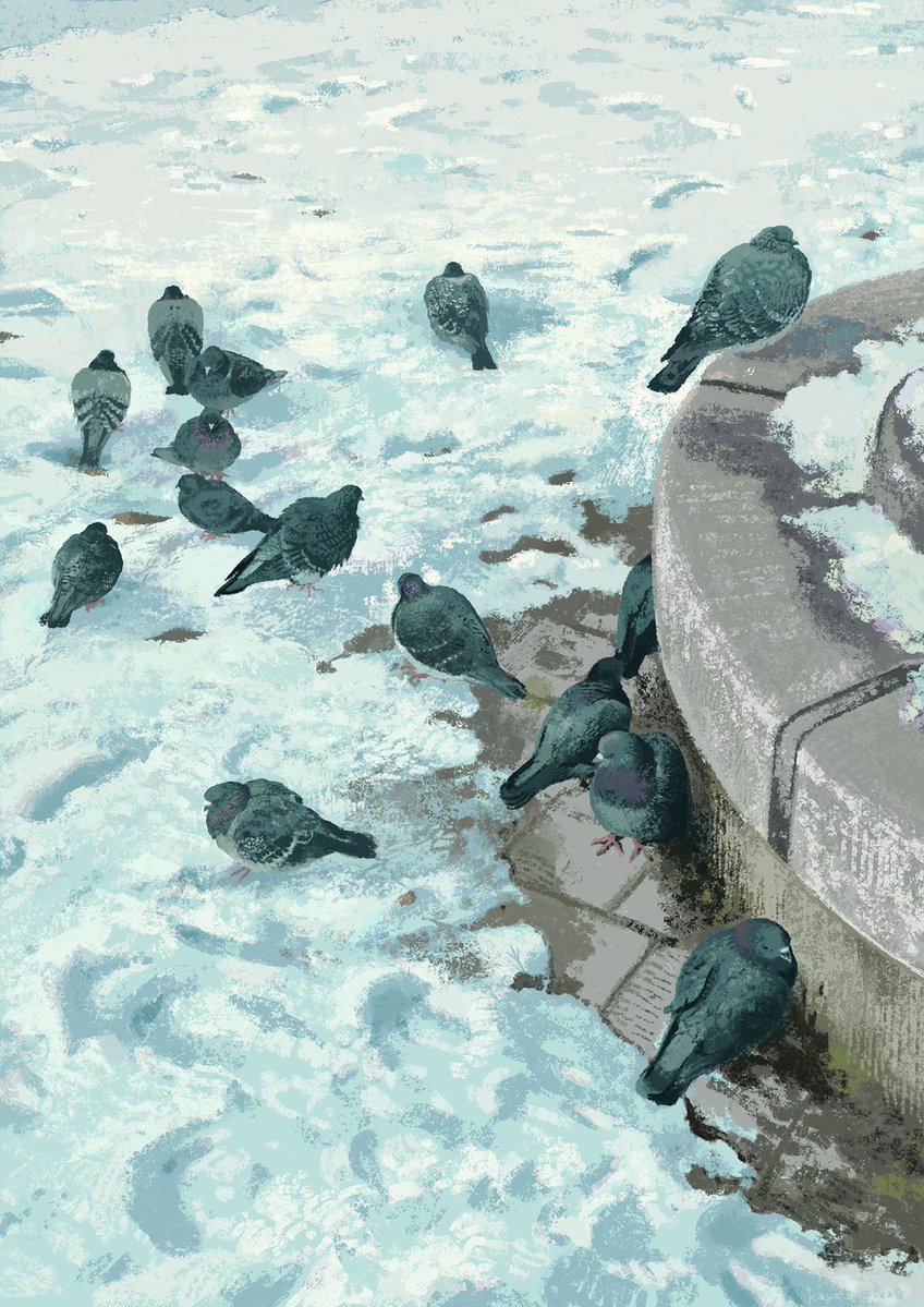 sketch　鳩たち