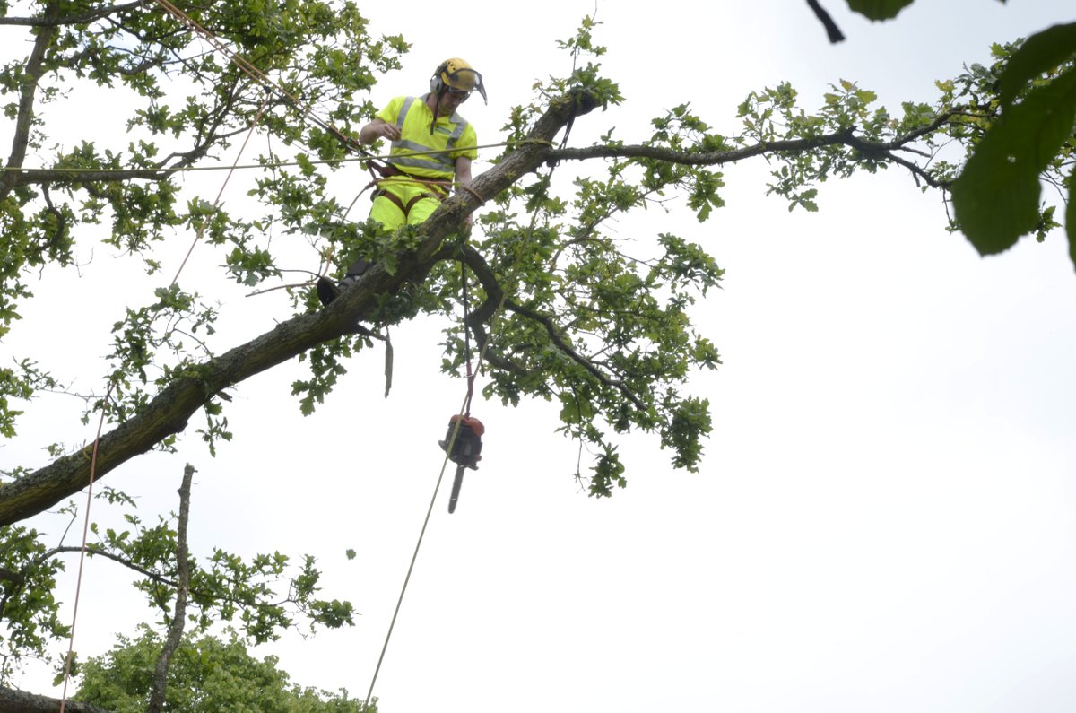 GlendaleUK tweet media