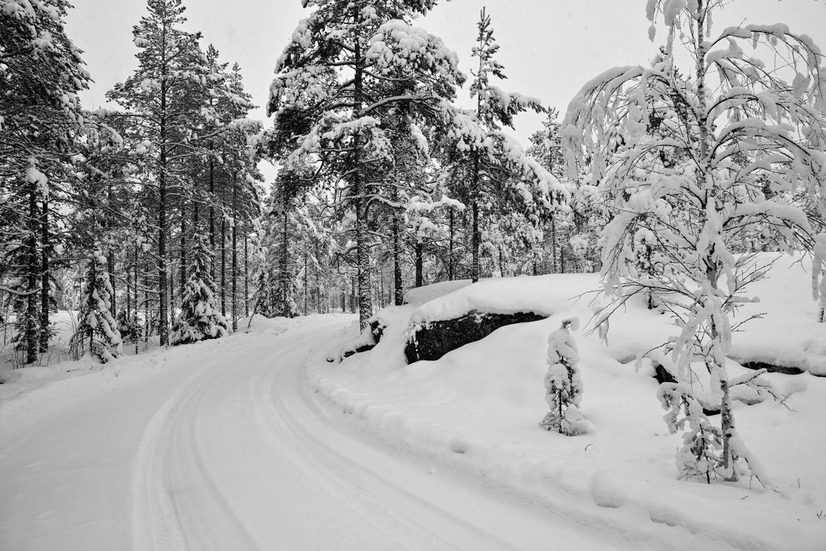 1/3
After experiencing similar conditions in Monte last time out, round two in Sweden promises to be a proper winter rally!

The stages are largely the same as last year apart from two which are reversed.