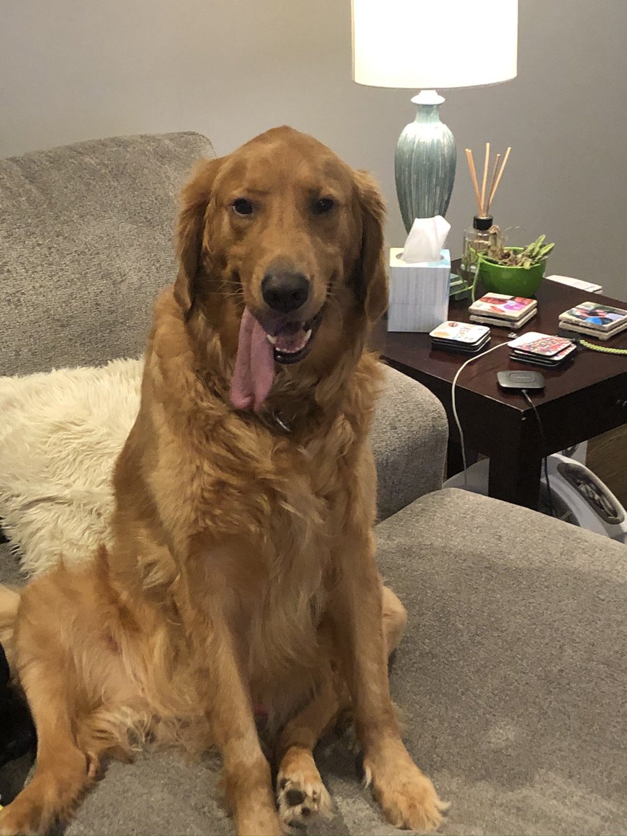 Scott Ferrall tweet media