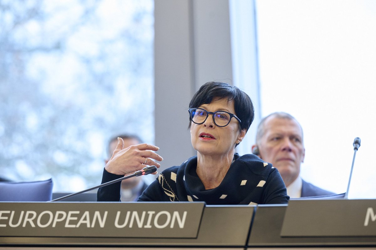 Daniela Cujba tweet media