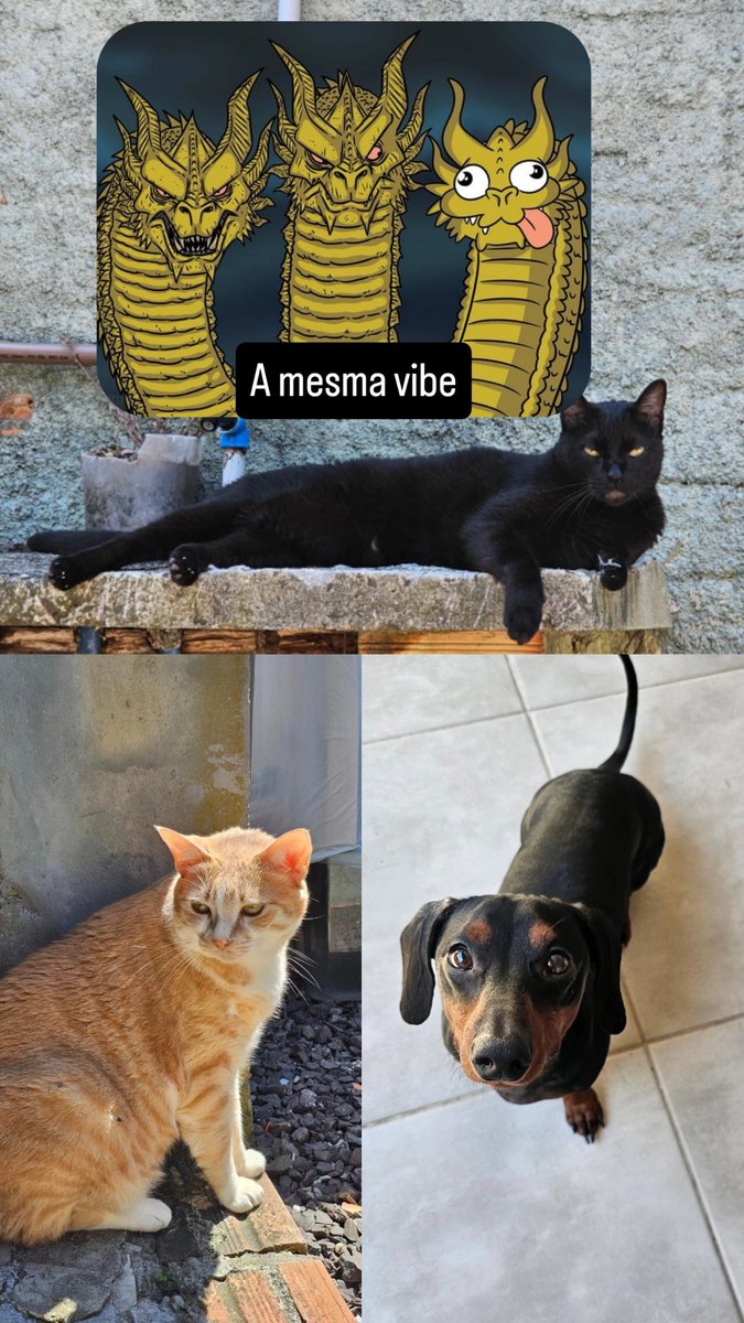 Milena (@miihgergeli) on Twitter photo 