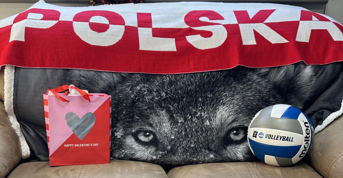 NSU Volleyball tweet media