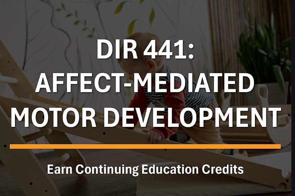 DIRFloortime tweet media