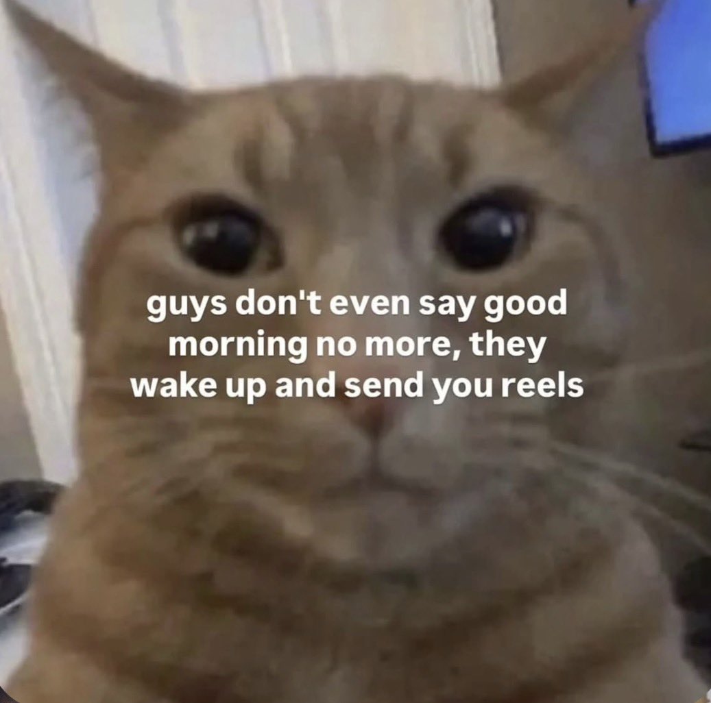 Good morning