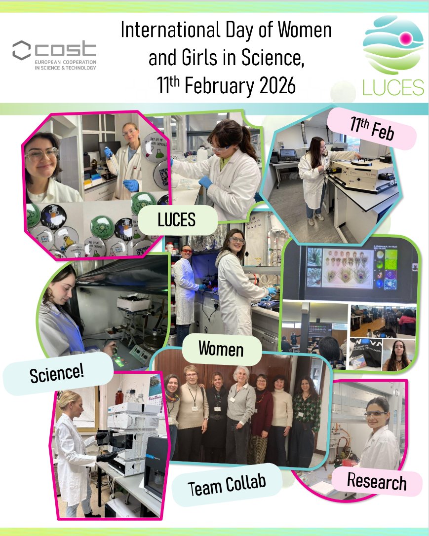 LUCES_COSTAction tweet media