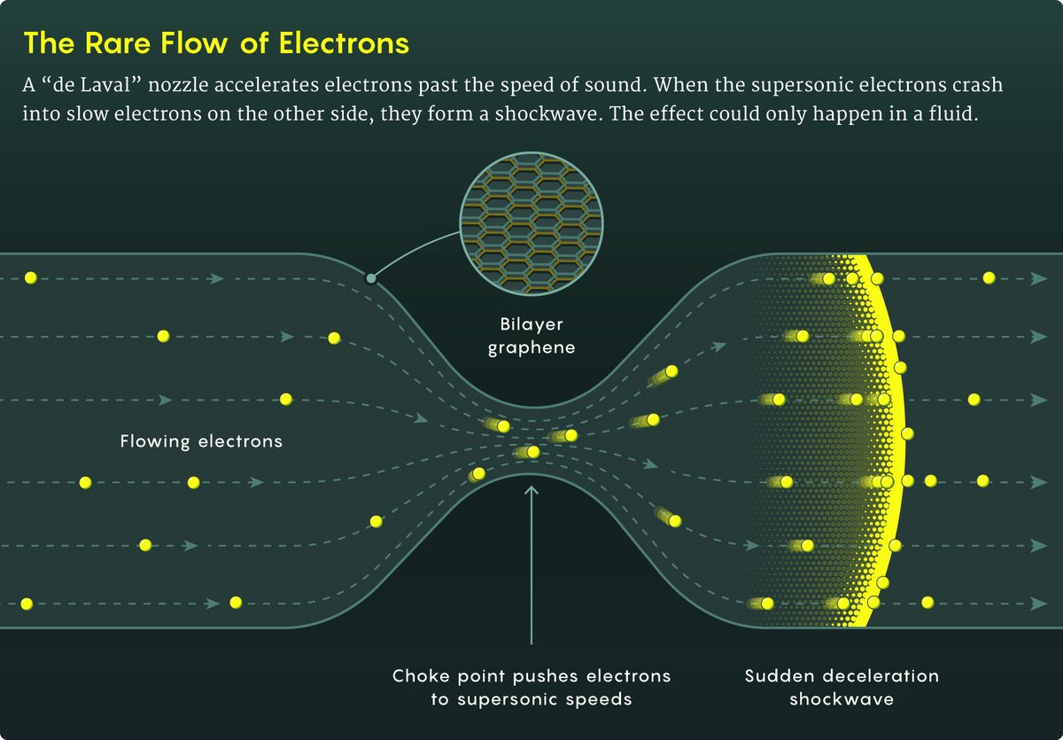 mark belan | science illustrator + info designer tweet media
