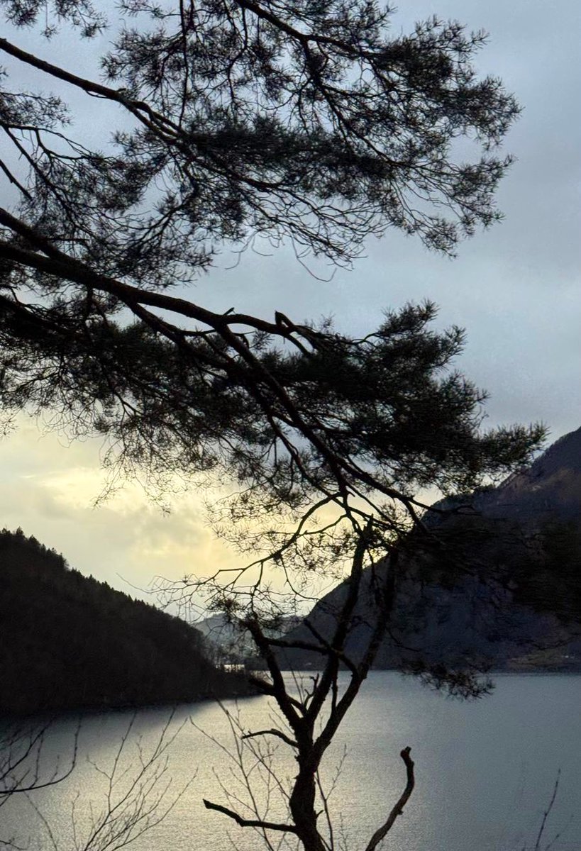 egox_ego's tweet image. #alps